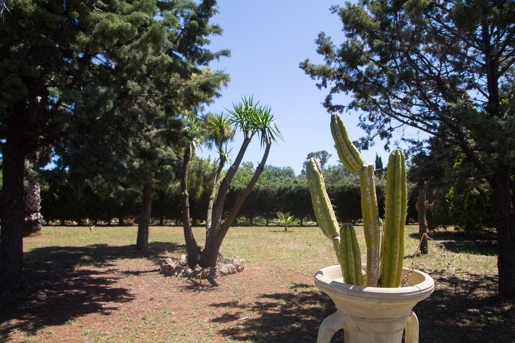 Villa dei Sogni Gallipoli Tuglie Esterno foto